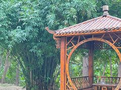 -东湖落雁景区