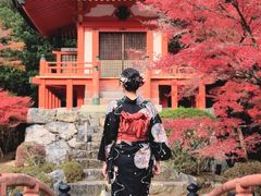 -醍醐寺