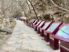 -北京上方山国家森林公园