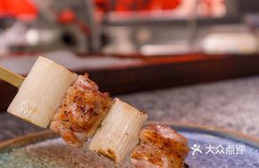 Grilled Chicken Thigh with Green Onion