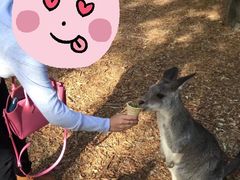 -费瑟代尔野生动物园