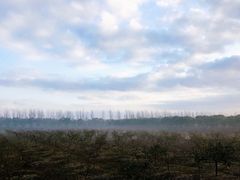 -海上花岛玫瑰园采摘