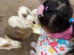 -前小桔亲子创意农场·草莓采摘·露营烧烤