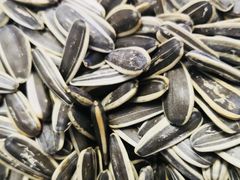 -栗满秋(燕丰西坝河店)