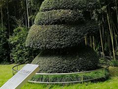 -苏州河梦清园环保主题公园