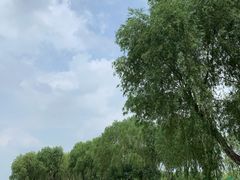 -丁香湖公园