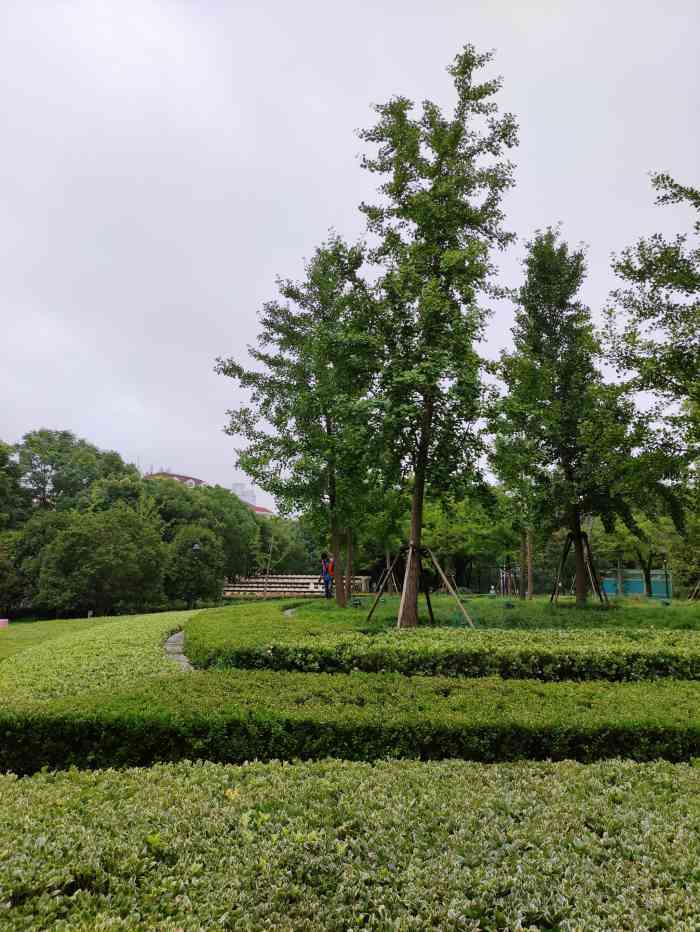 延天绿地-"延安西路天山路口的开放式小绿地,上周上班.