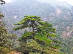 -三清山风景名胜区