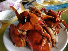 -莲花公园煎蟹(总店)