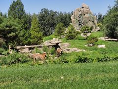 -北京野生动物园