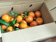 -袁山山重庆火锅(丈八北路店)