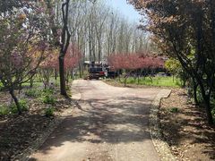 -合肥滨湖国家森林公园