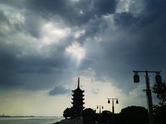 -紫薇冷饮(海宁盐官宣德路店)