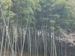 -峙山公园