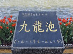 -翠湖公园