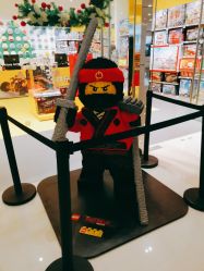 -KIDSLAND(恒隆广场店)