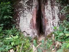 景点-丹霞山风景名胜区