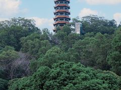 -红花山公园