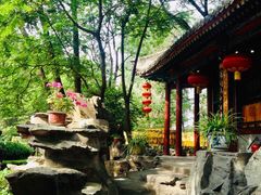 -白家大院·王府宫廷菜(苏州街店)