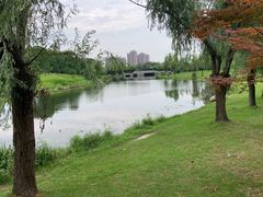 -同济大学(嘉定校区)