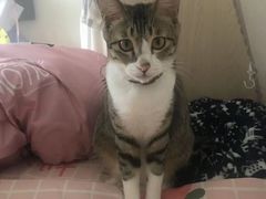 -Catmate·猫肥家润(金润铂宫店)