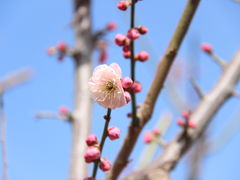 -北京明城墙遗址公园
