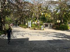 -三亚珠江南田温泉度假区