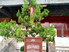 -北京市劳动人民文化宫(太庙)