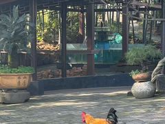 -木子山庄·安徽省老字号·中国炖锅宴