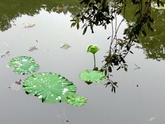 -韶山毛泽东同志故居