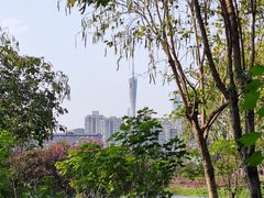 -海珠湖公园