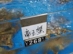 -清水湾3号(东方小周海鲜店)