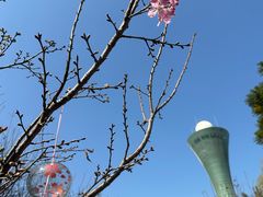 -狐尾山公园