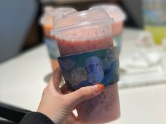 -野萃山·潮汕厚果汁(十亩地店)