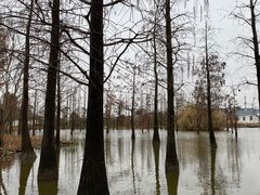 -上海长兴岛郊野公园