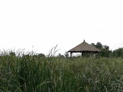 -梁鸿国家湿地公园