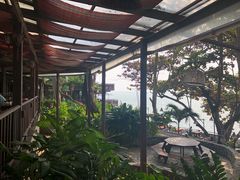 -卷心菜和避孕套餐厅(Pattaya)