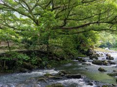 -广州市石门国家森林公园
