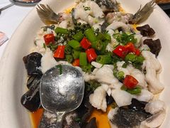 -陶缘一号·四季缘·老字号顺德菜·户外婚礼家宴(西滘店)