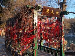 -莲池书院博物馆