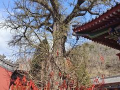 -青龙山景区