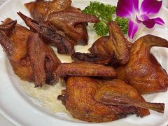 -鸽鸟轩(石岐店)