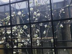 -韩盛·盛江山自助料理(于洪新玛特店)