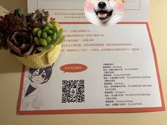 -申普宠物医院·心脏介入·心血管微创(总院)