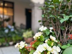 -沙龙酒家