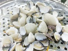 -凯盈阁·顺德私房菜·桑拿鸡