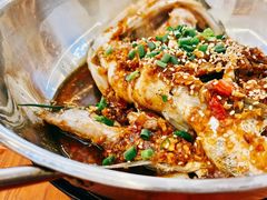 吊锅鱼-文婷阁土菜馆