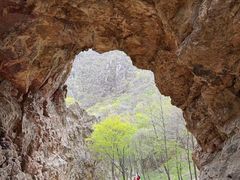 -大连天门山国家森林公园