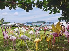 -三亚亚龙湾天域度假酒店