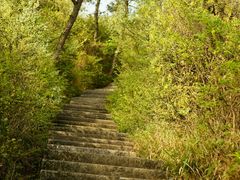 -余姚市灵岩禅寺